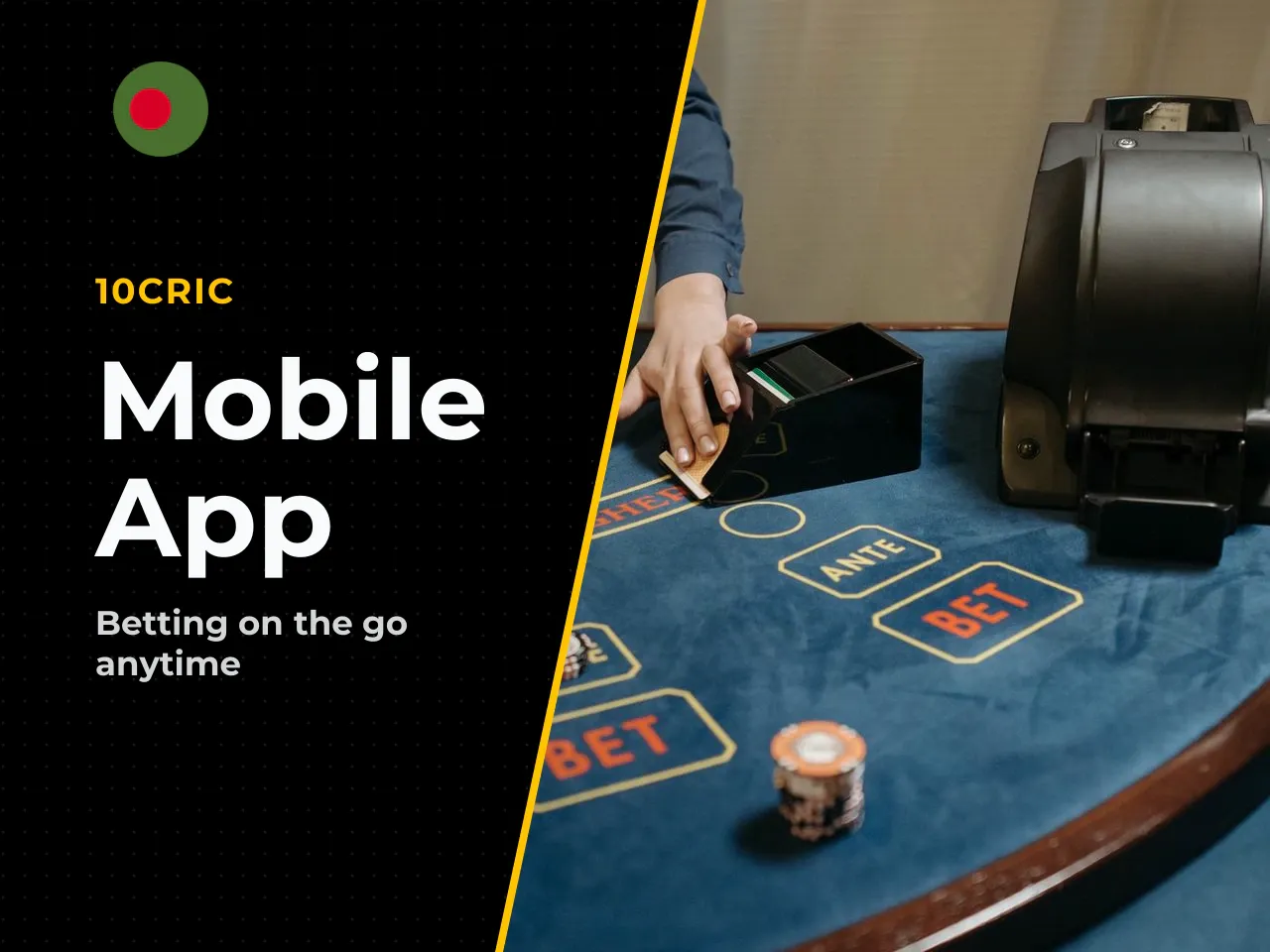 10Cric App and Mobile Site