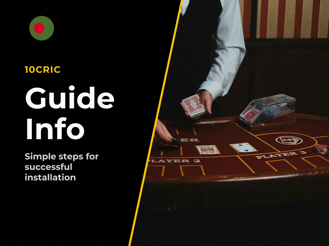 Who This Guide Is For and