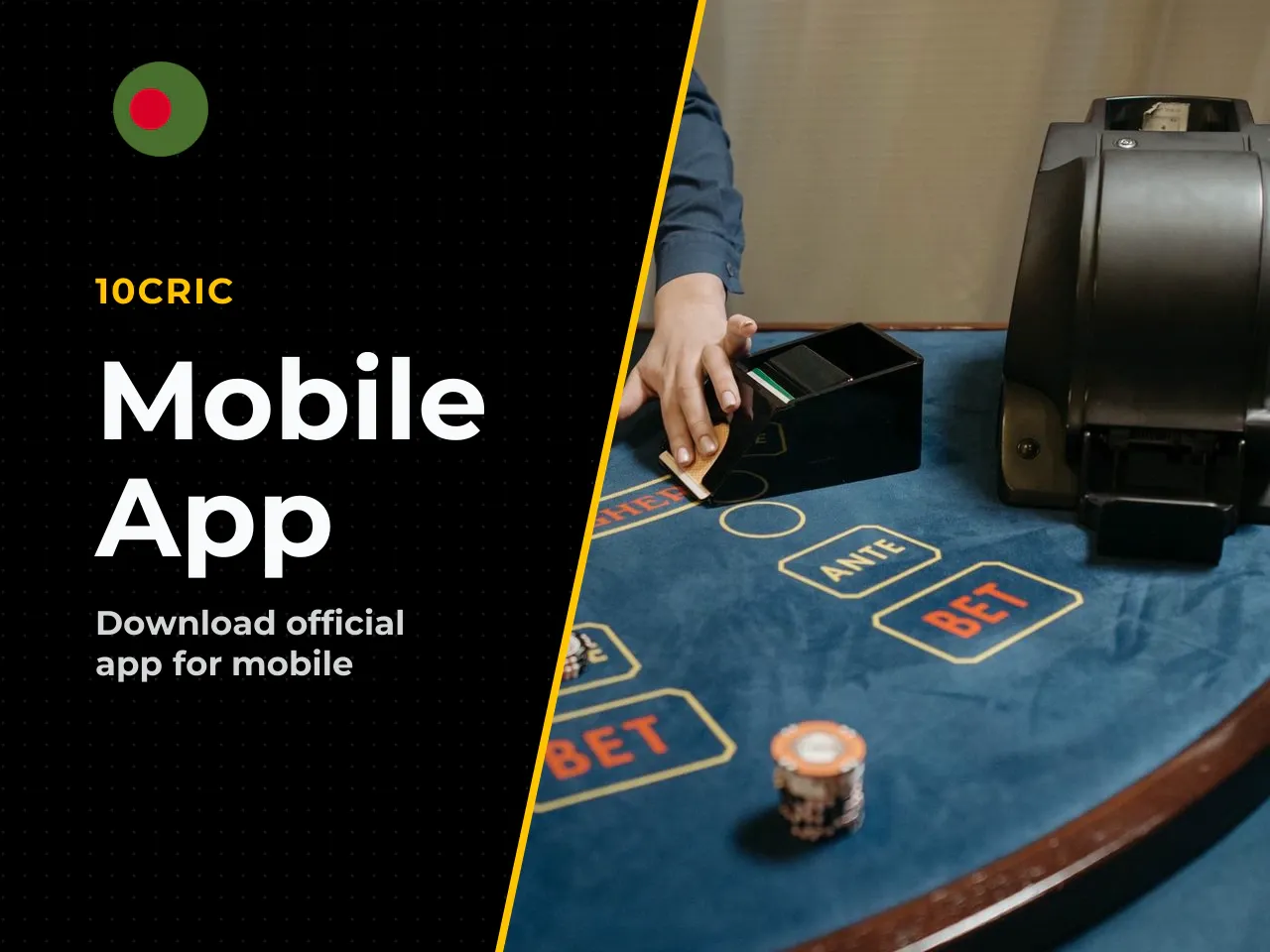16. Mobile App, Support and Contacts