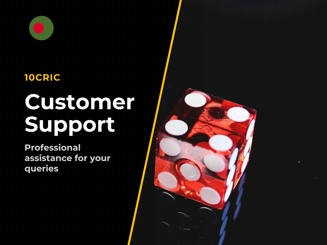 Support languages English is the primary