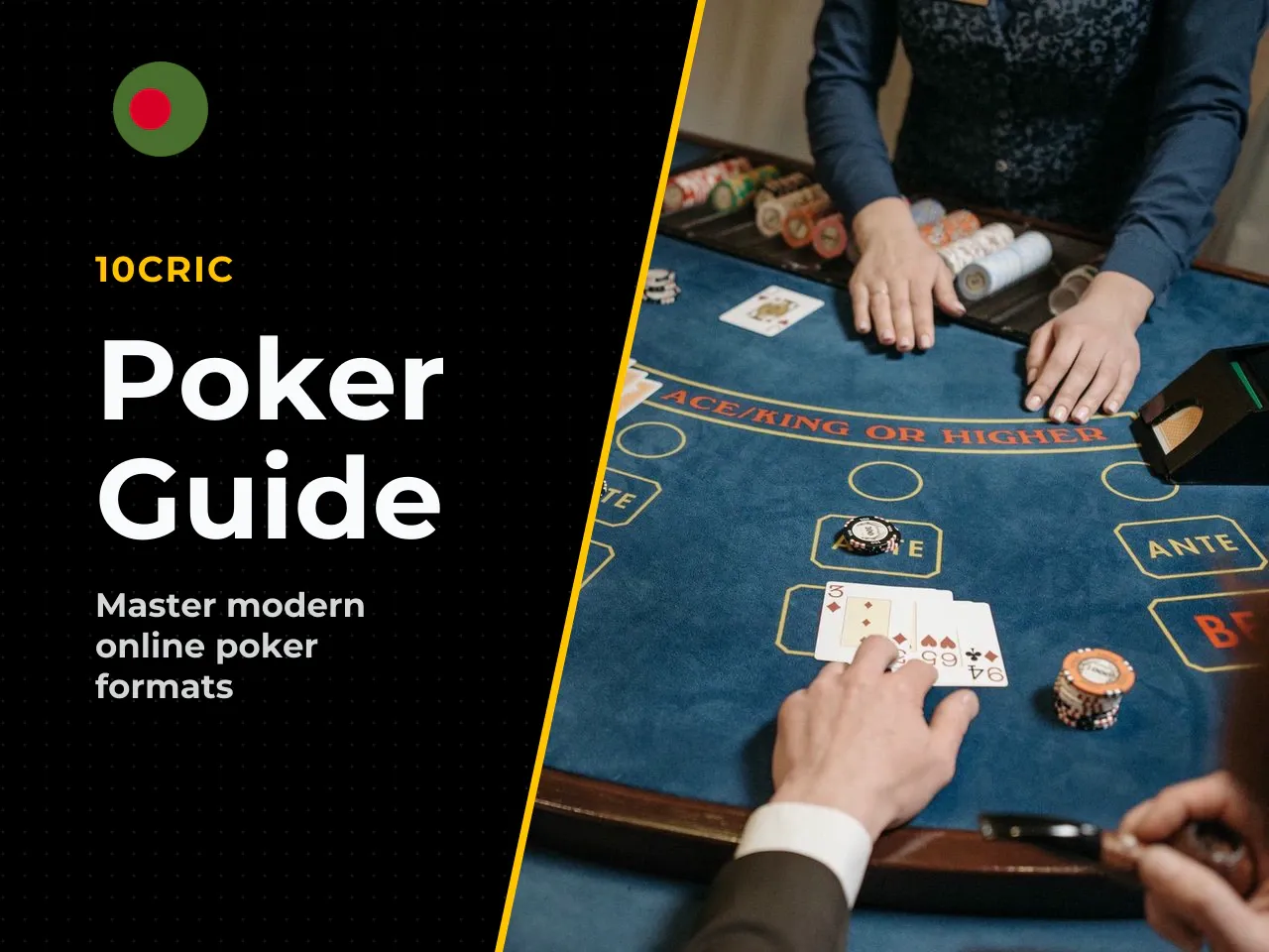Short Version What This Guide Covers