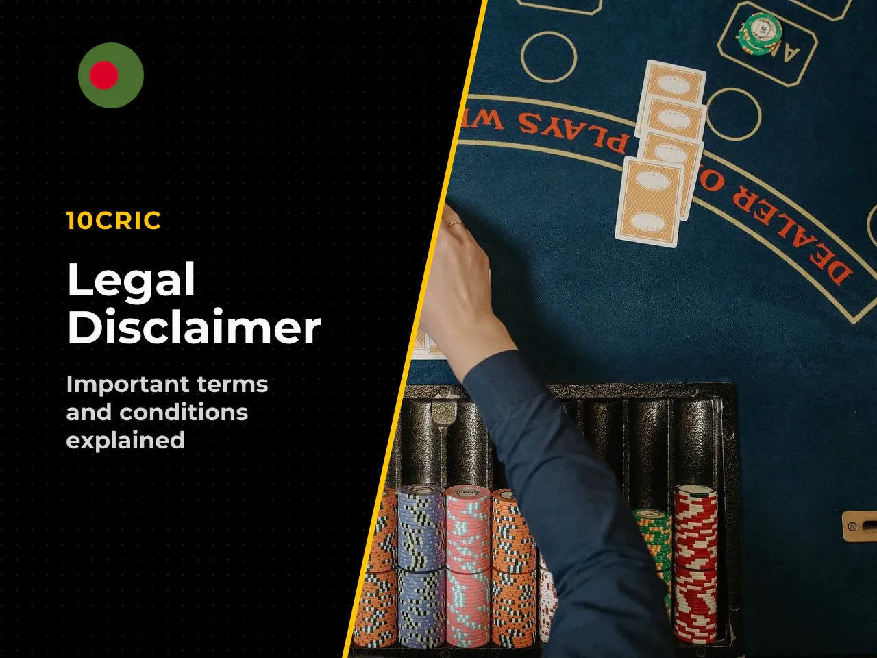 Disclaimer and legal notice. The terms